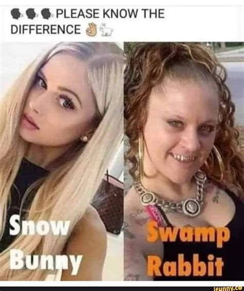 snowbunny twitter|Urban Dictionary: snow bunny.